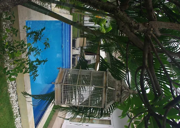 Starling Bali * サヌール