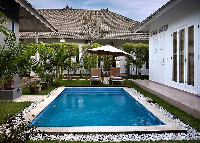 Starling Bali *