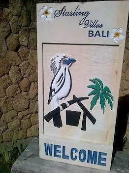 Starling Bali サヌール