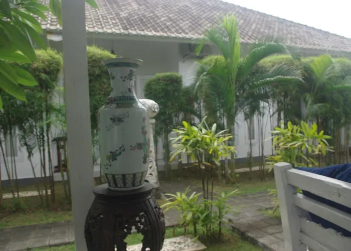 Starling Bali